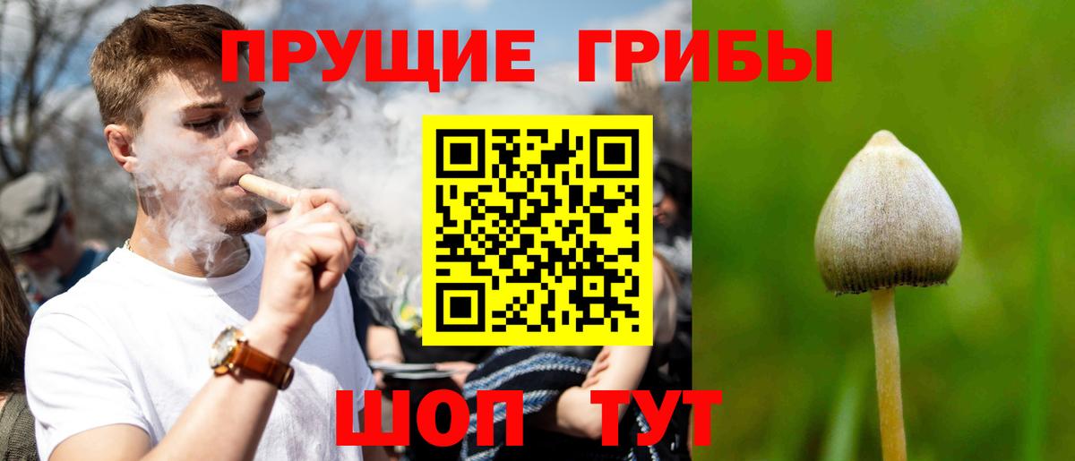 Нефтекумск  Галлюциногенные грибы прущие грибы  Вход с VPN 